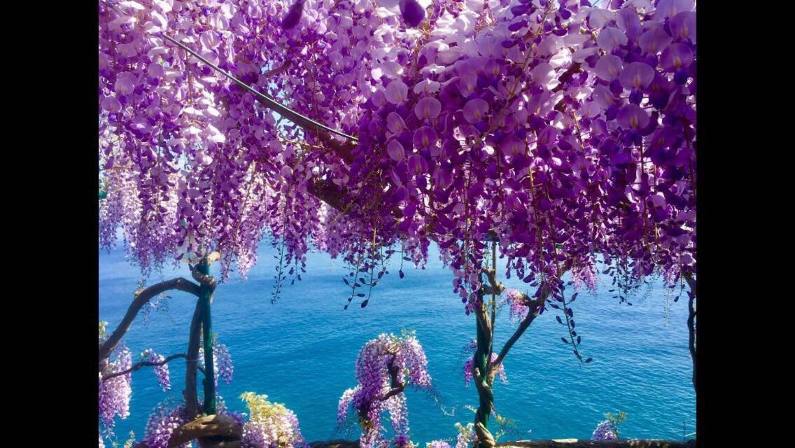 Villa Petit Ludovica Ravello Exterior foto